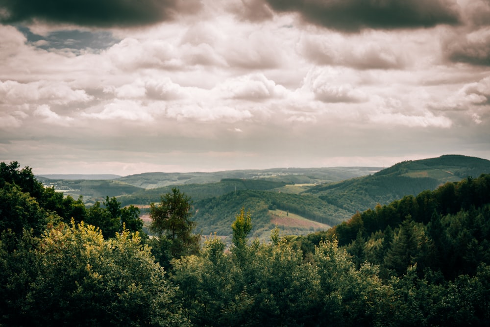 green trees on mountain under cloudy sky during daytime