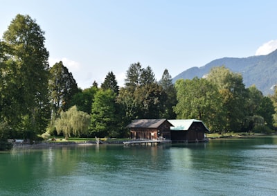 brown wooden house on lake near green trees during daytime österreich zoom background