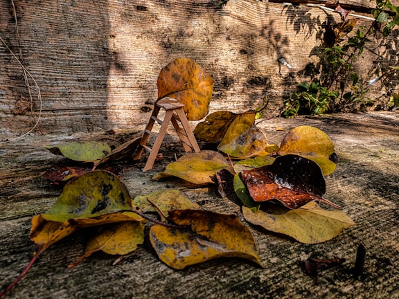 A stylish small step ladder made of wood.