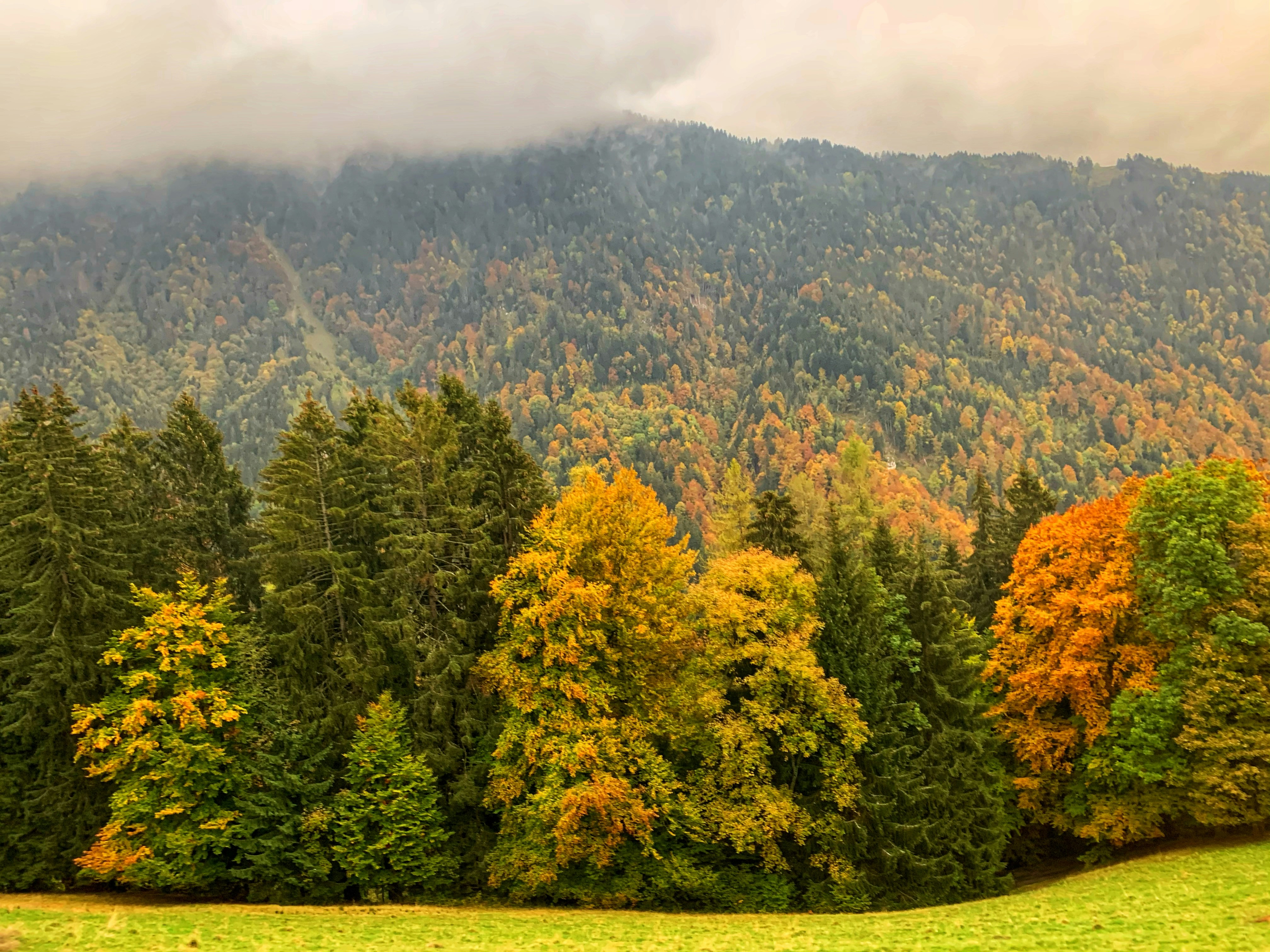 Photo by dandandan0101