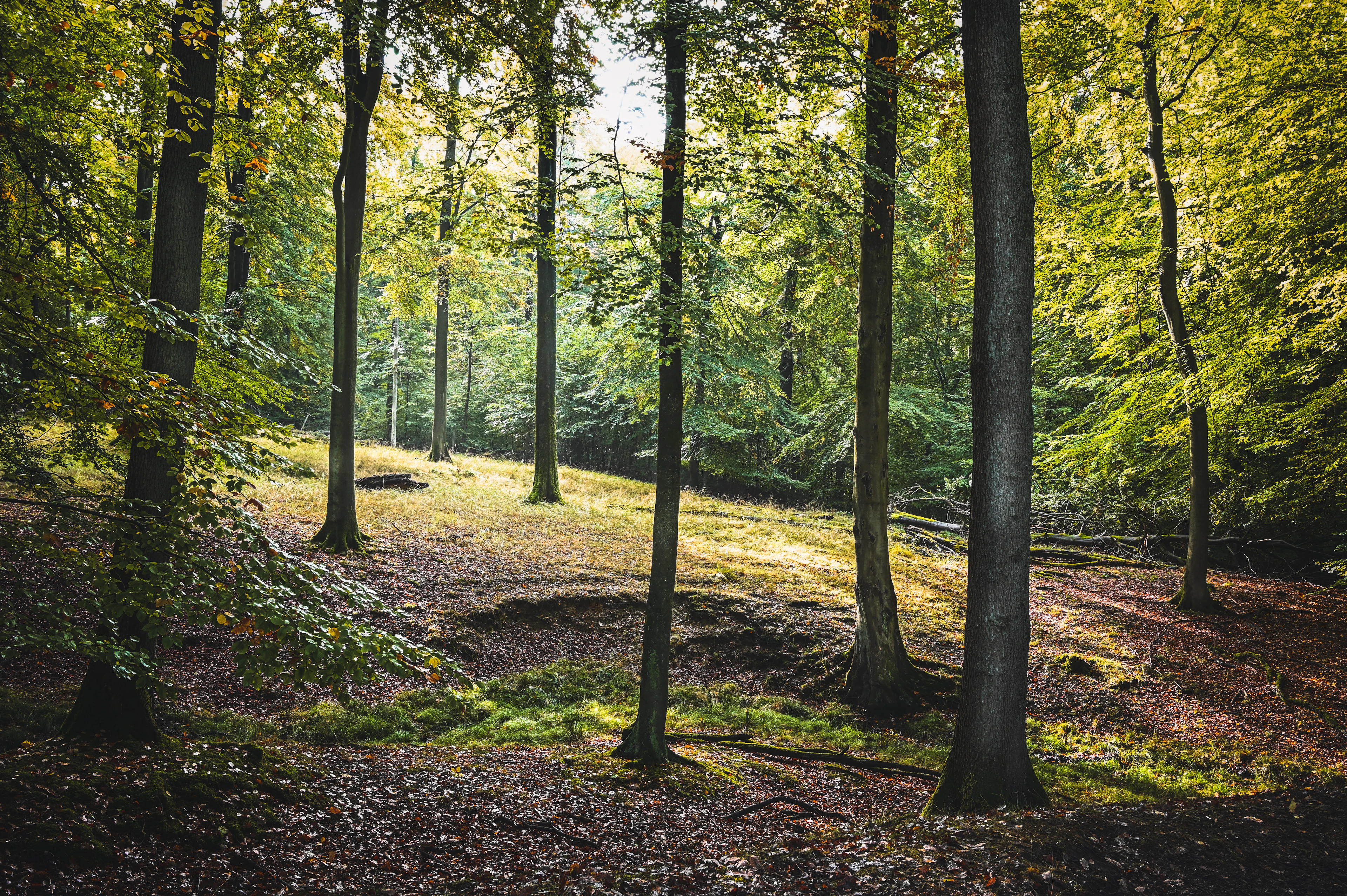 Foto aus Arnsberg