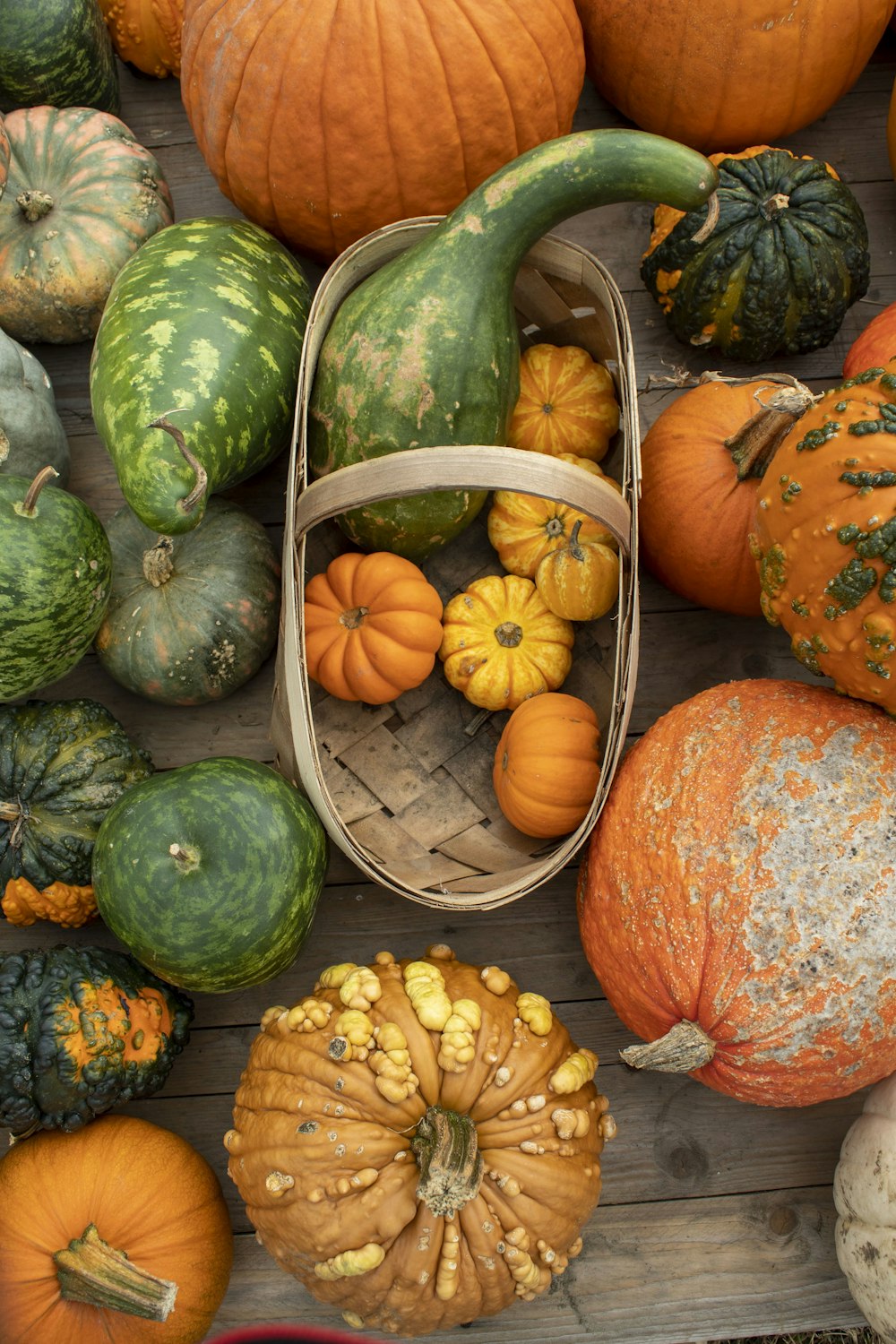 orange and green pumpkin on brown wooden table