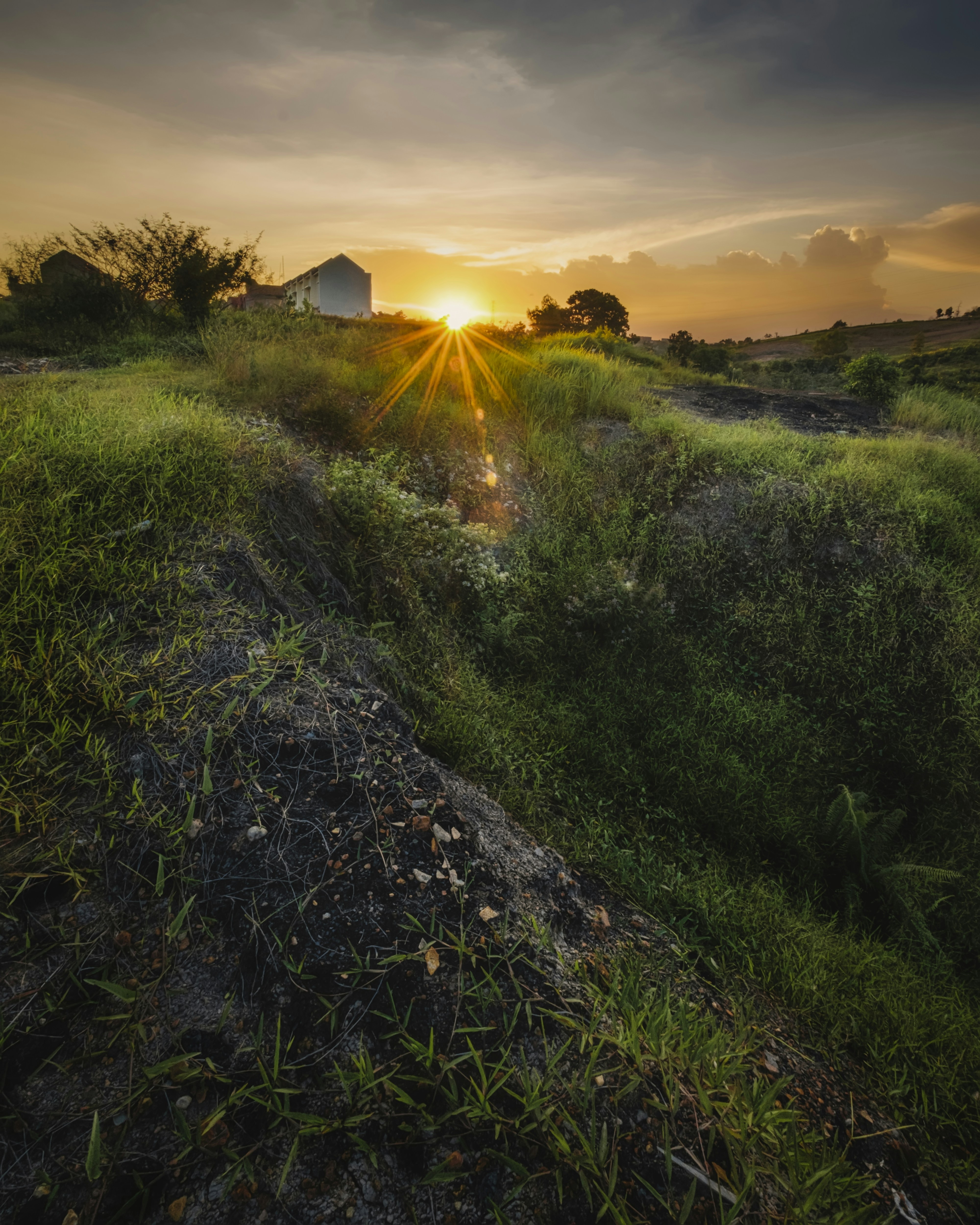 campo di erba verde durante il tramonto