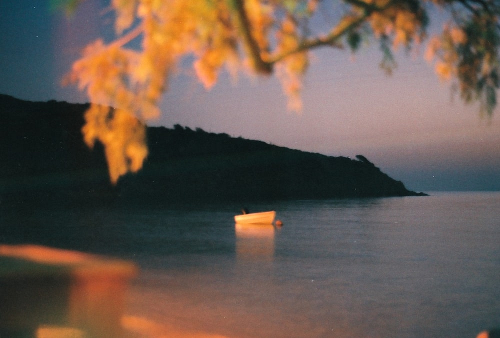 日中の水域の白いボート