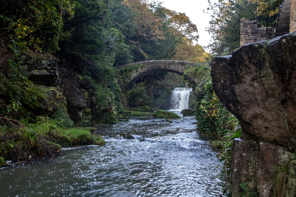 waterfalls between green trees during daytime