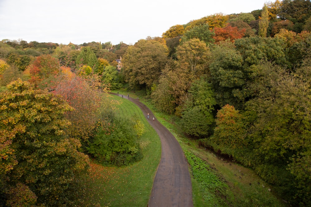 strada di cemento grigio tra alberi verdi durante il giorno