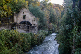 gray concrete building near river in jesmond dene