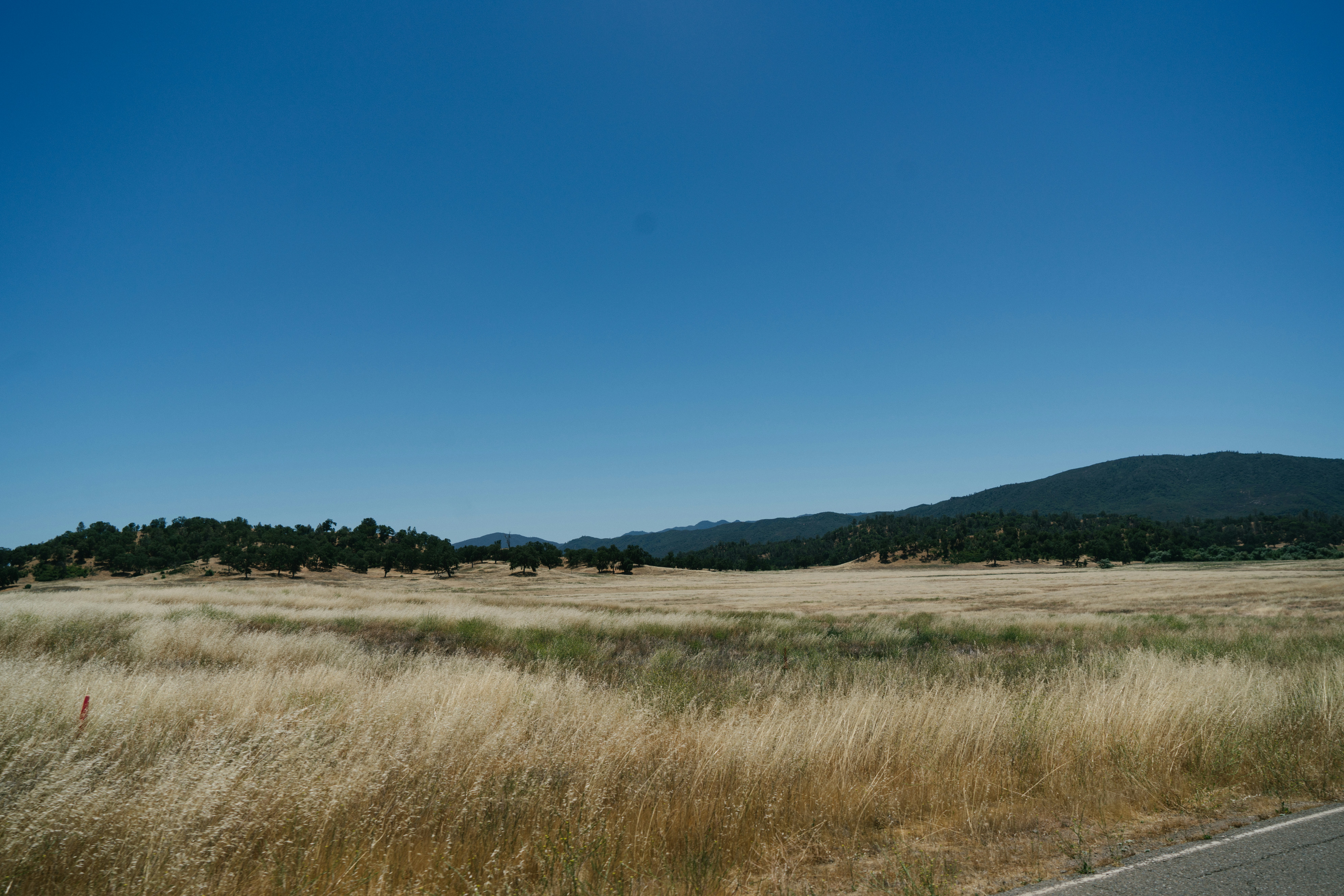 Photo by carl_newton