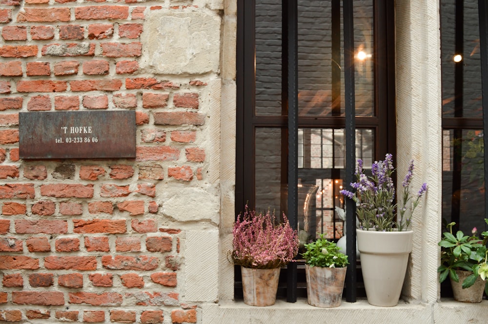 brown wooden framed glass window