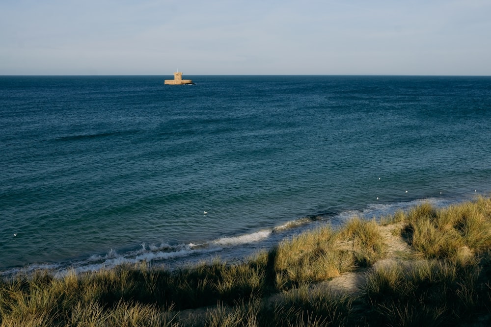 body of water during daytime