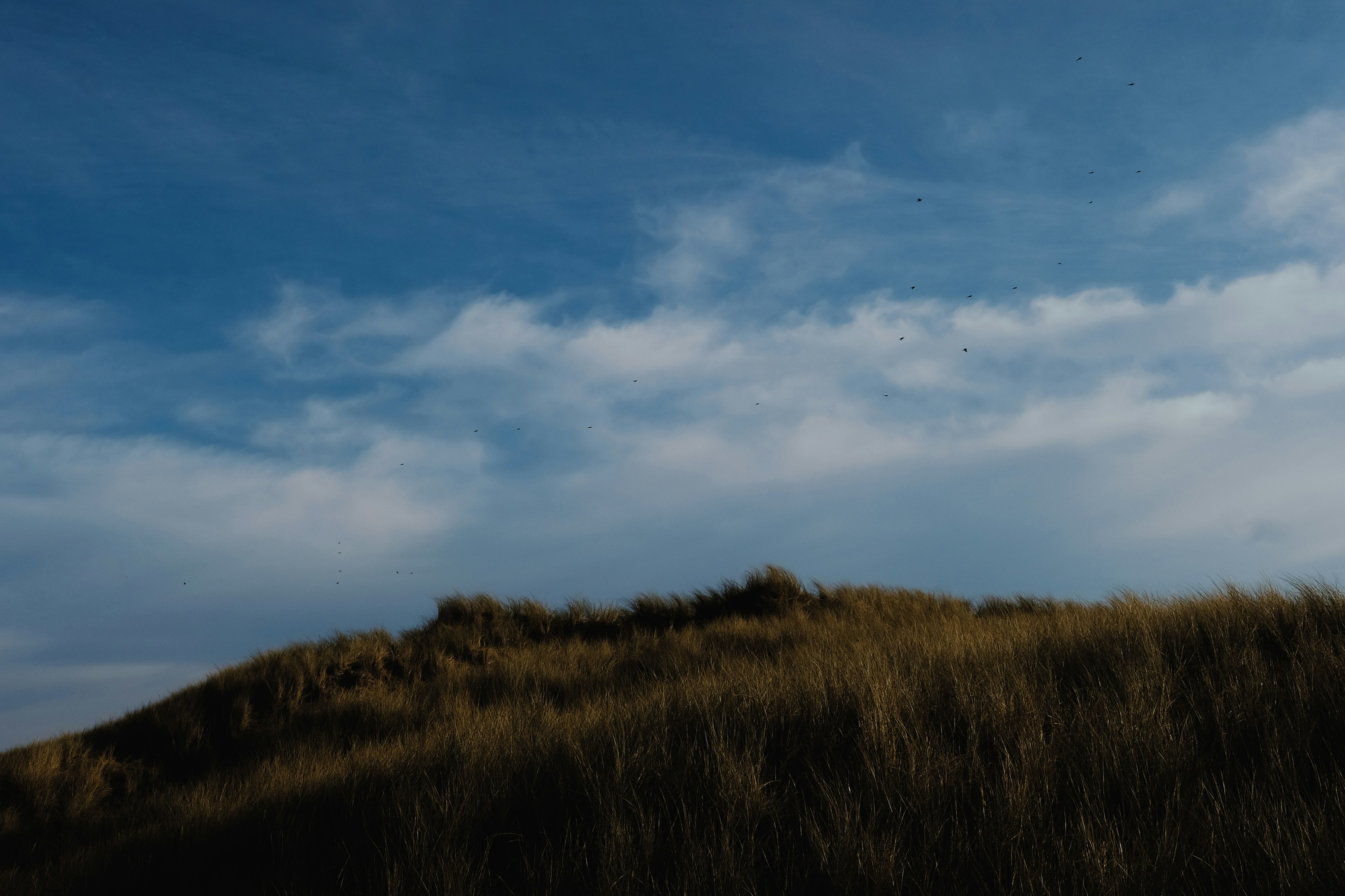 Photo by lmoss_photo