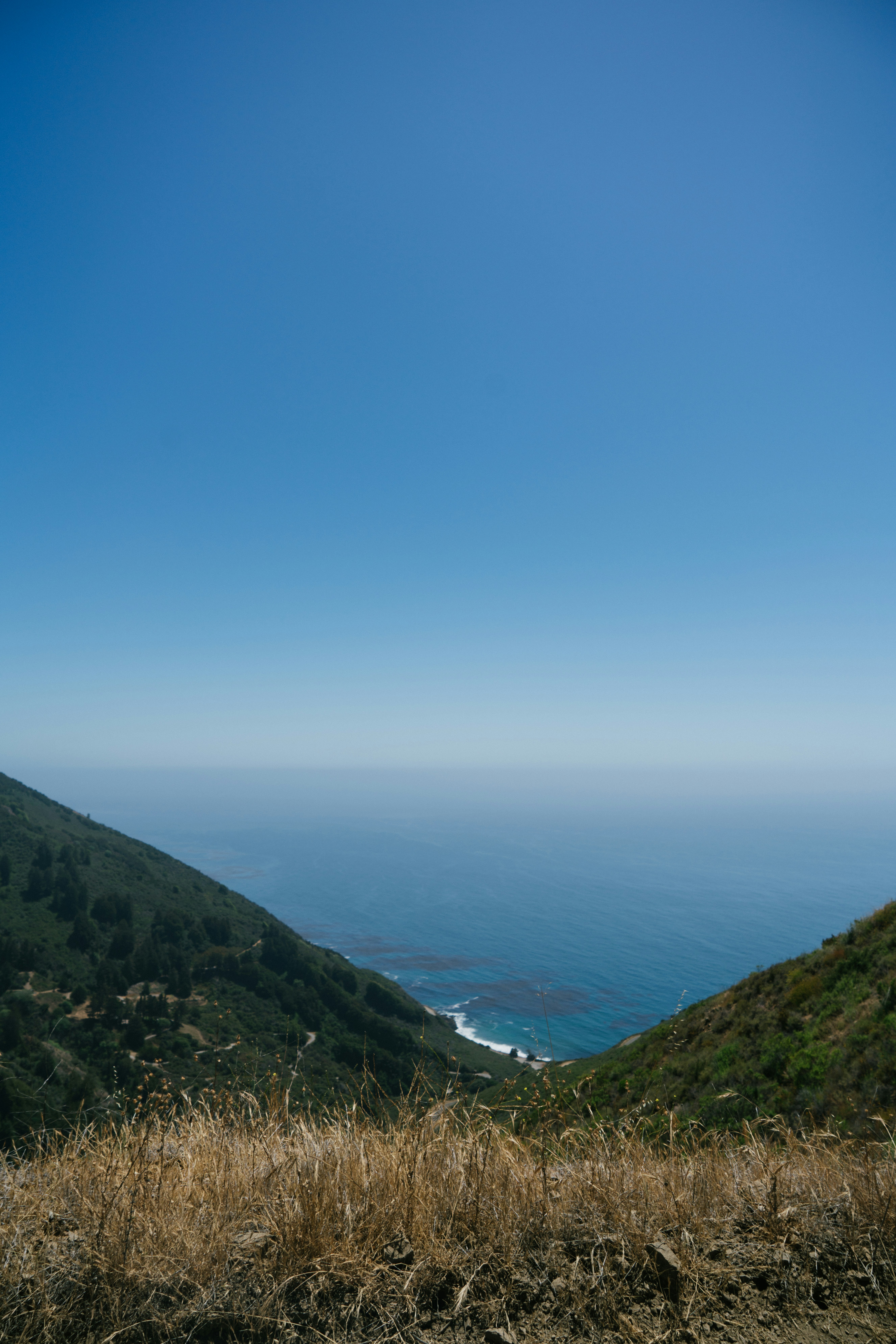 Photo by carl_newton