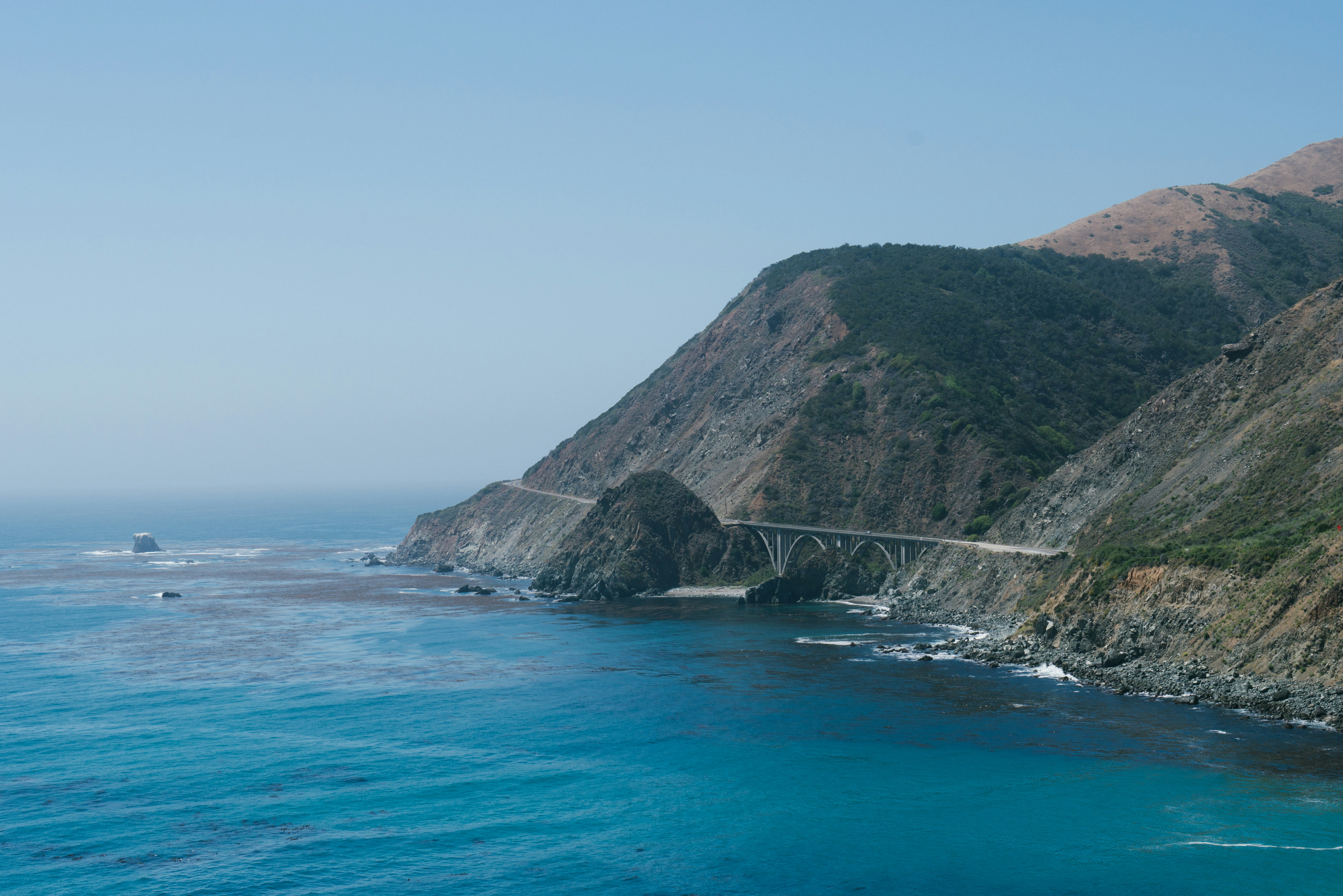 Photo by carl_newton