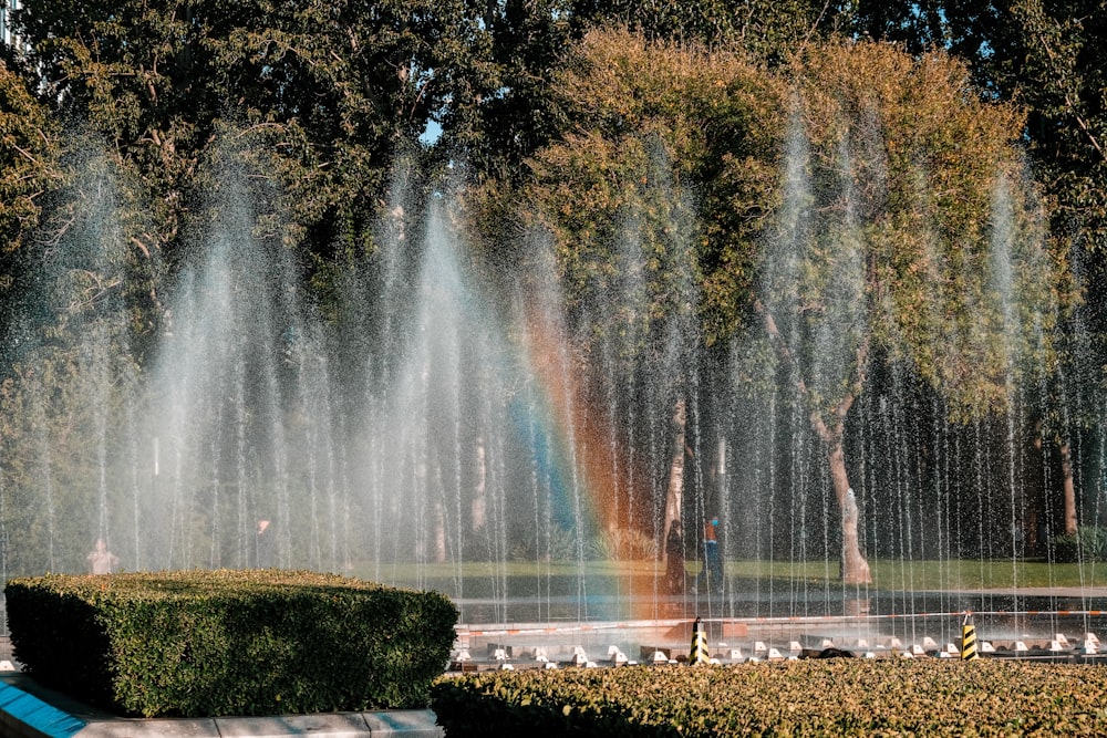 water fountain in the middle of the forest