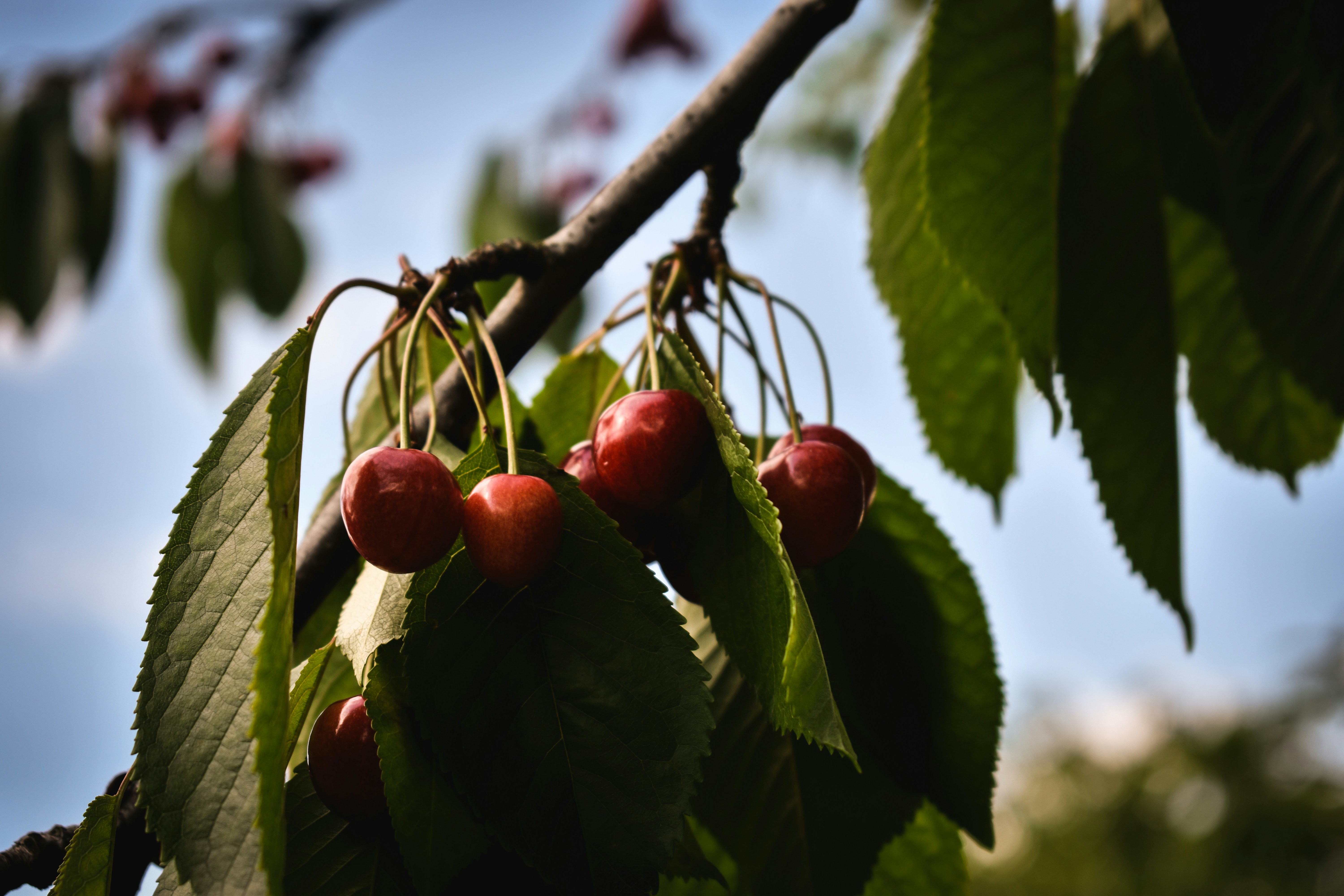 Photo by beckyb0o0o0