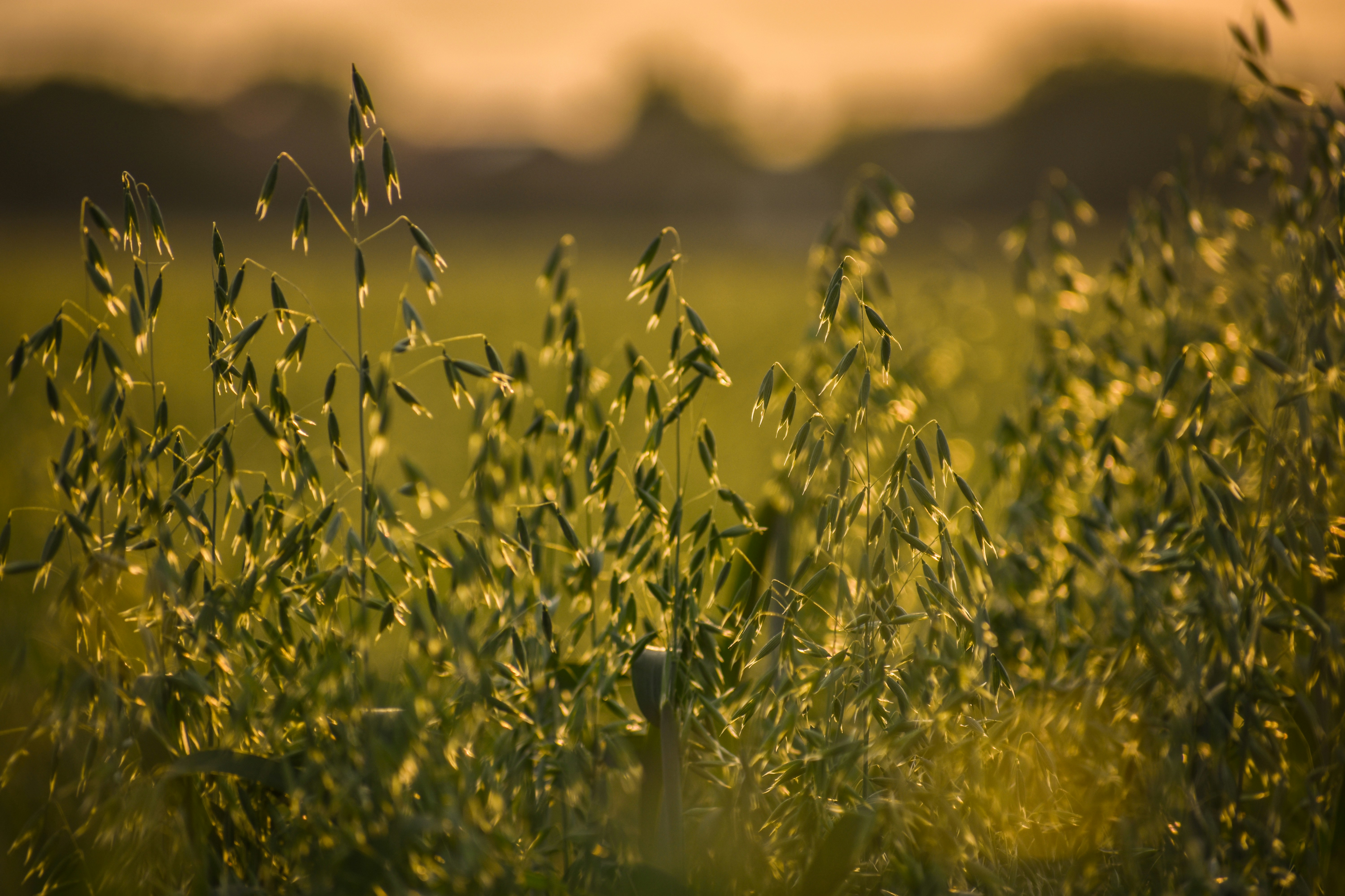 Photo by beckyb0o0o0