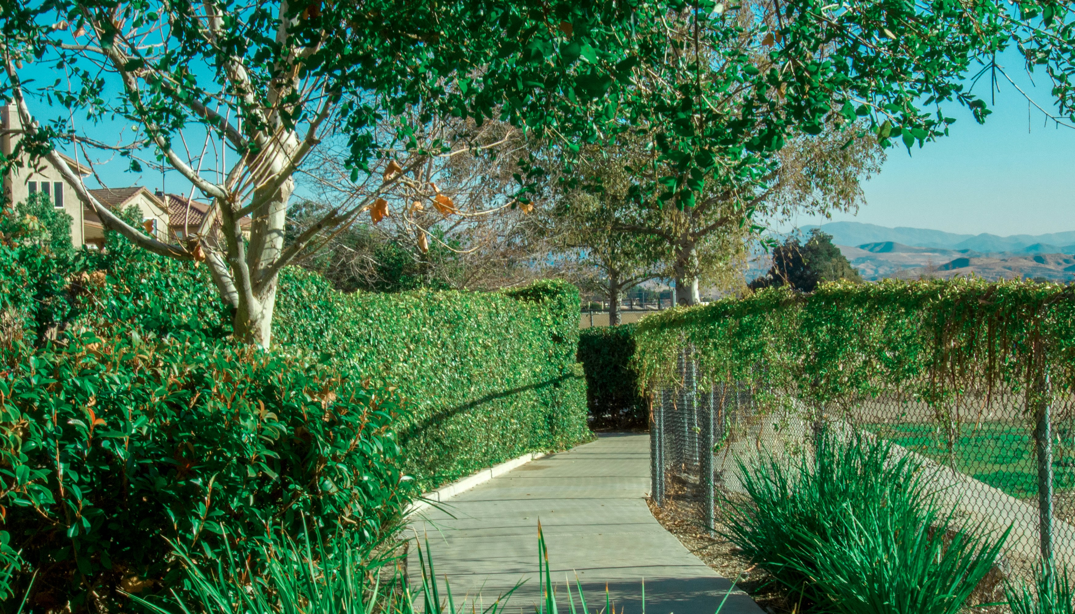 Photo by _nickwright_