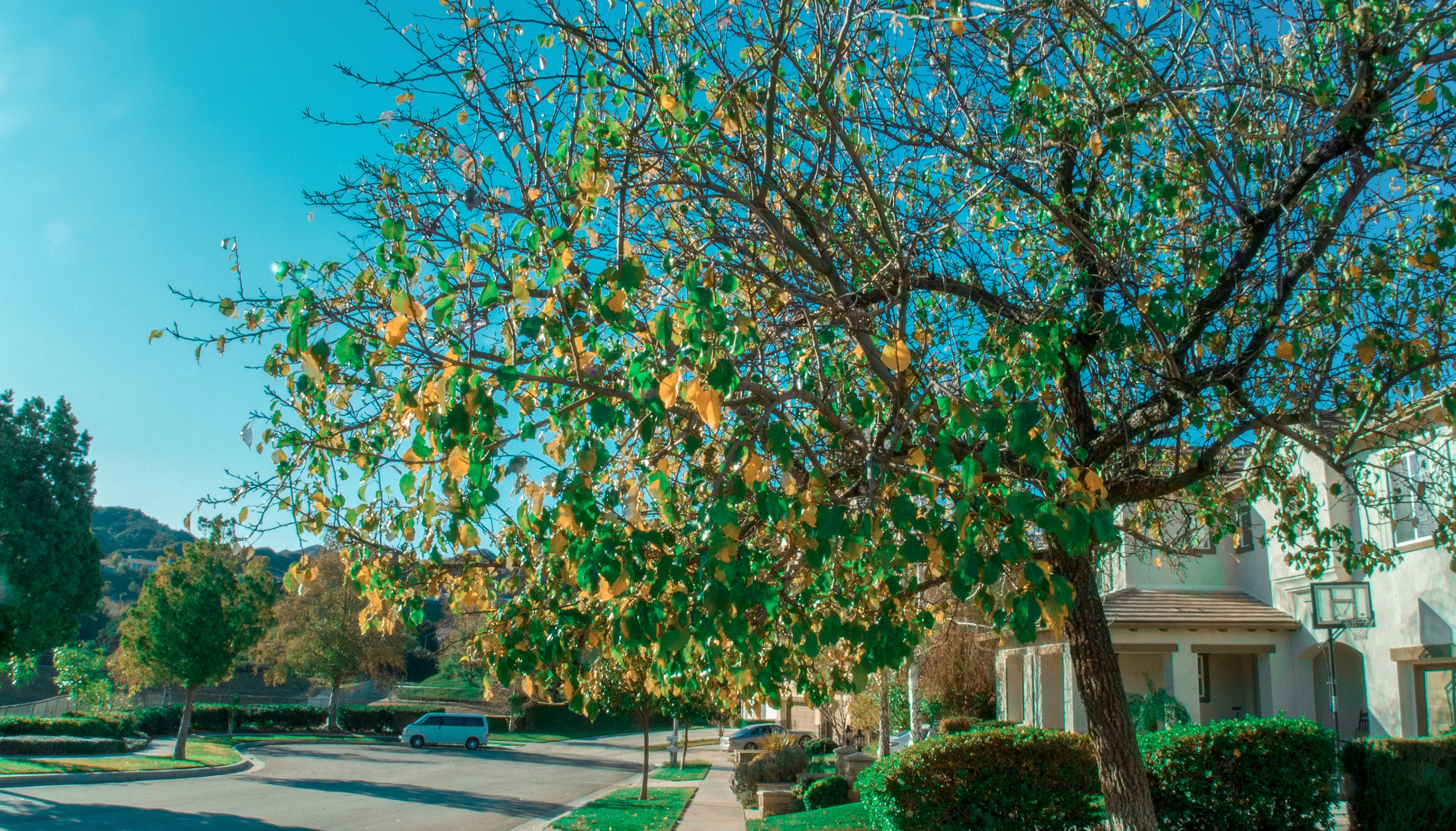 Photo by _nickwright_