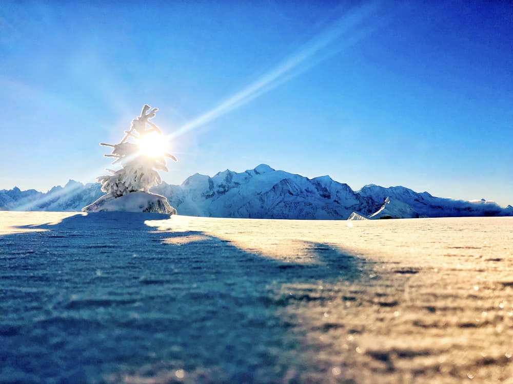 snow covered mountain during daytime