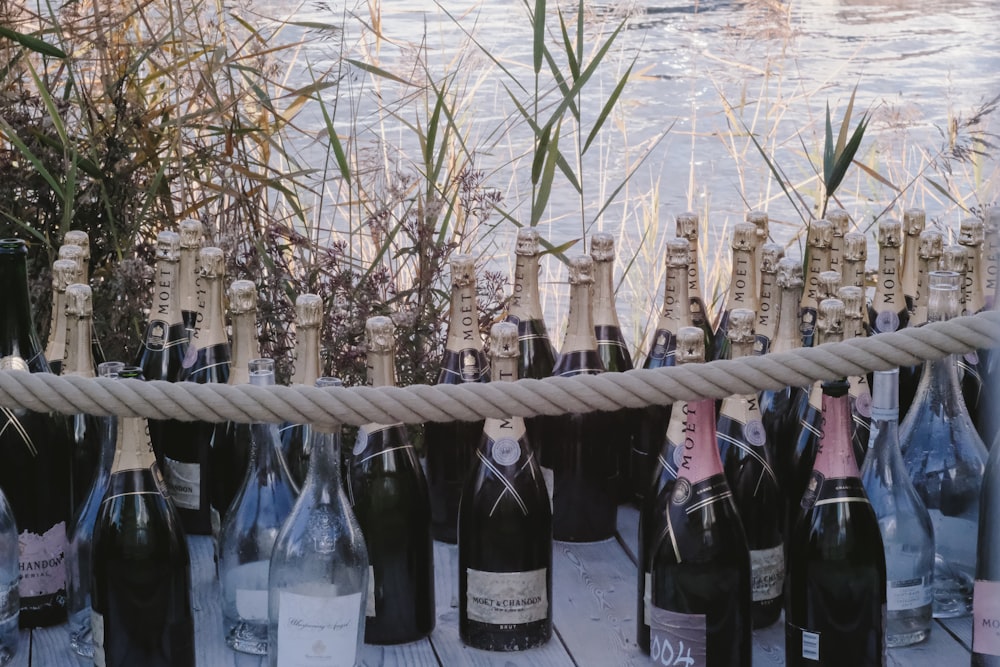 black glass bottles on brown wooden fence