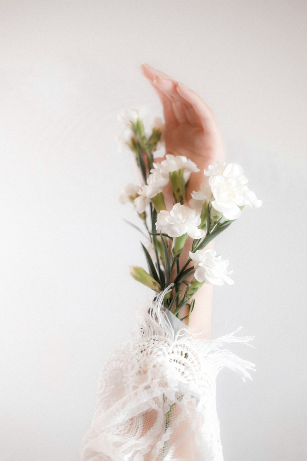 白い陶器の花瓶に白い花