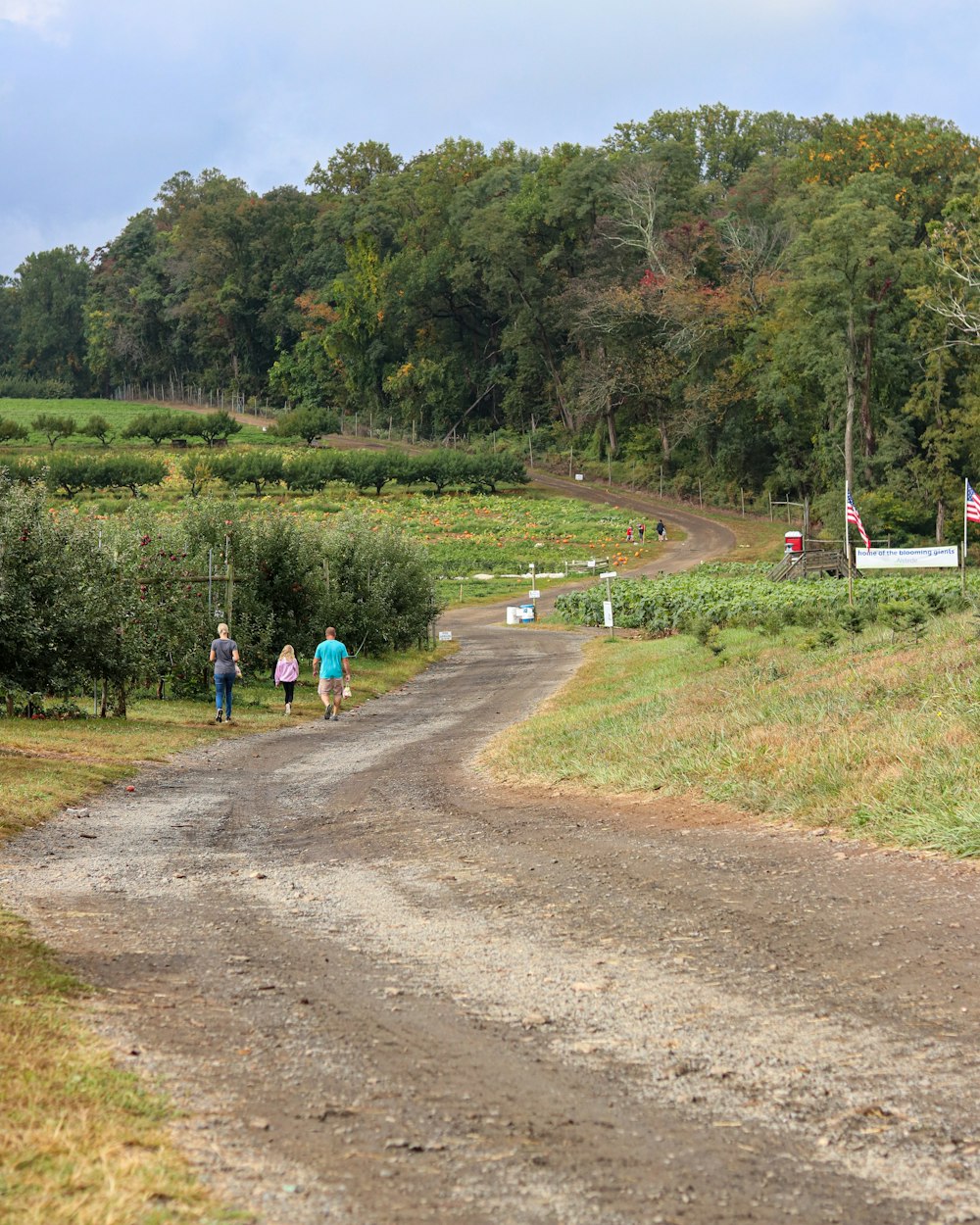 people walking on dirt road near green grass field during daytime