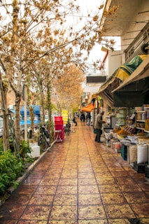 A narrow street lined with shops on the right, displaying various goods such as baskets and dried produce. Leafless trees line the left side, and a bicycle is parked on the sidewalk. People are walking and browsing under a cloudy sky. The tiled pavement is prominently featured, shaded in tones of brown and orange.