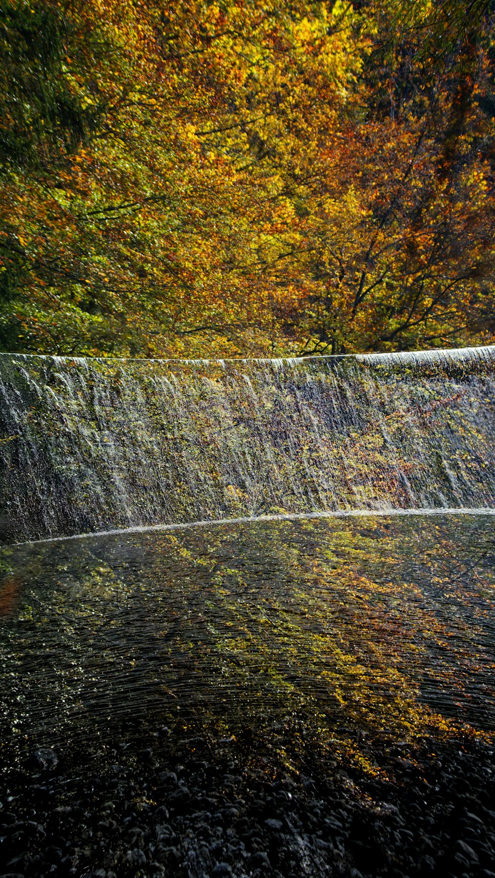 water falls in the middle of forest