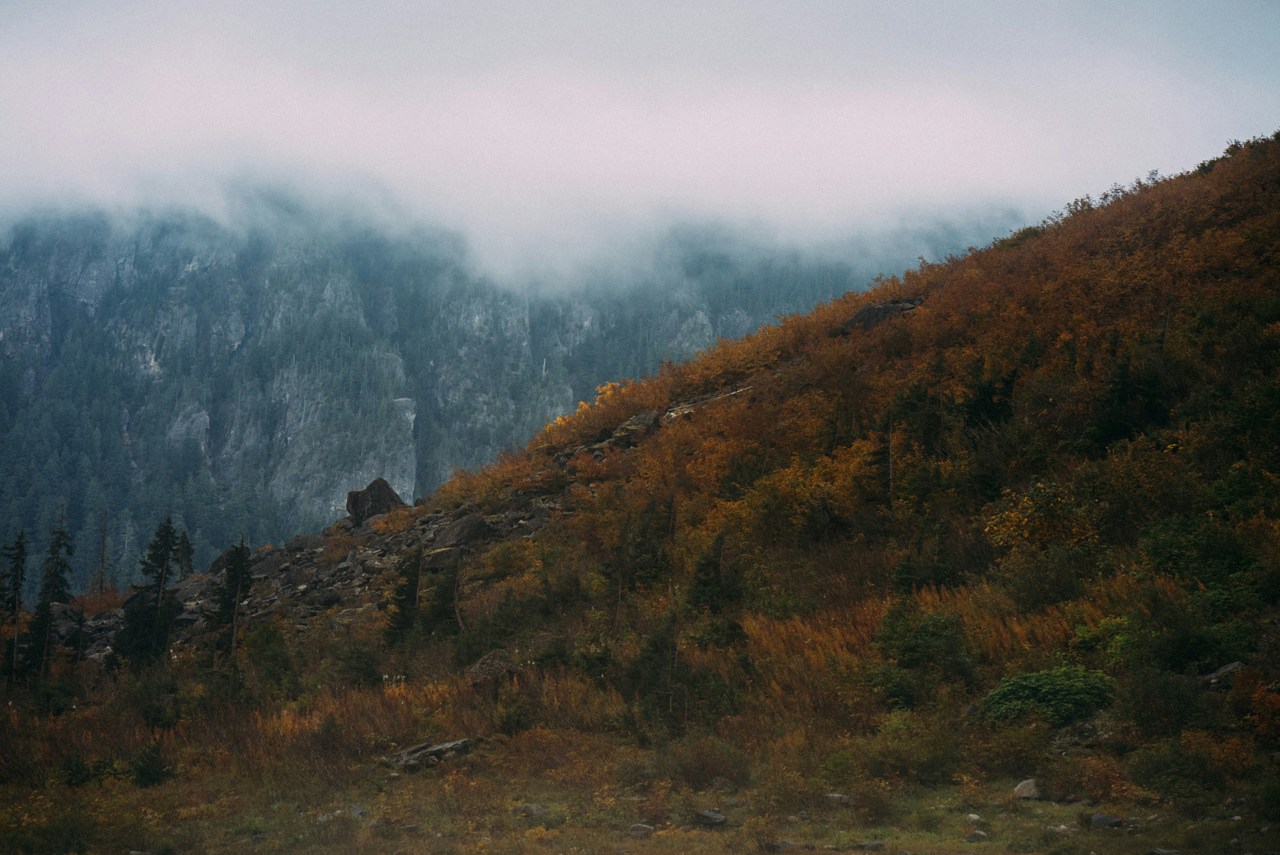 green and brown mountain under white sky during daytime, Autumn 