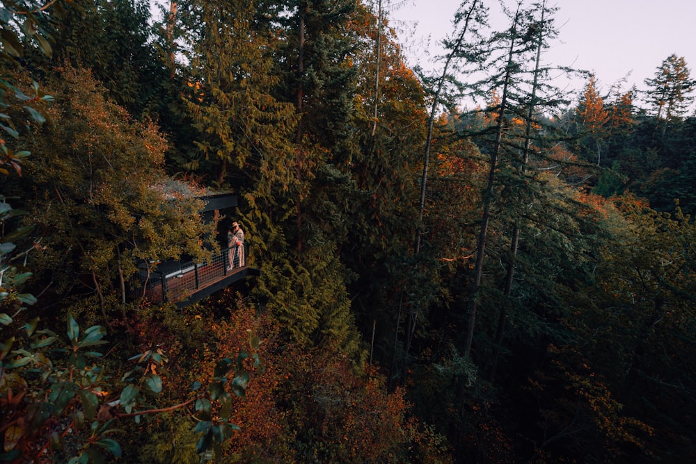 brown wooden house on top of hill surrounded by trees