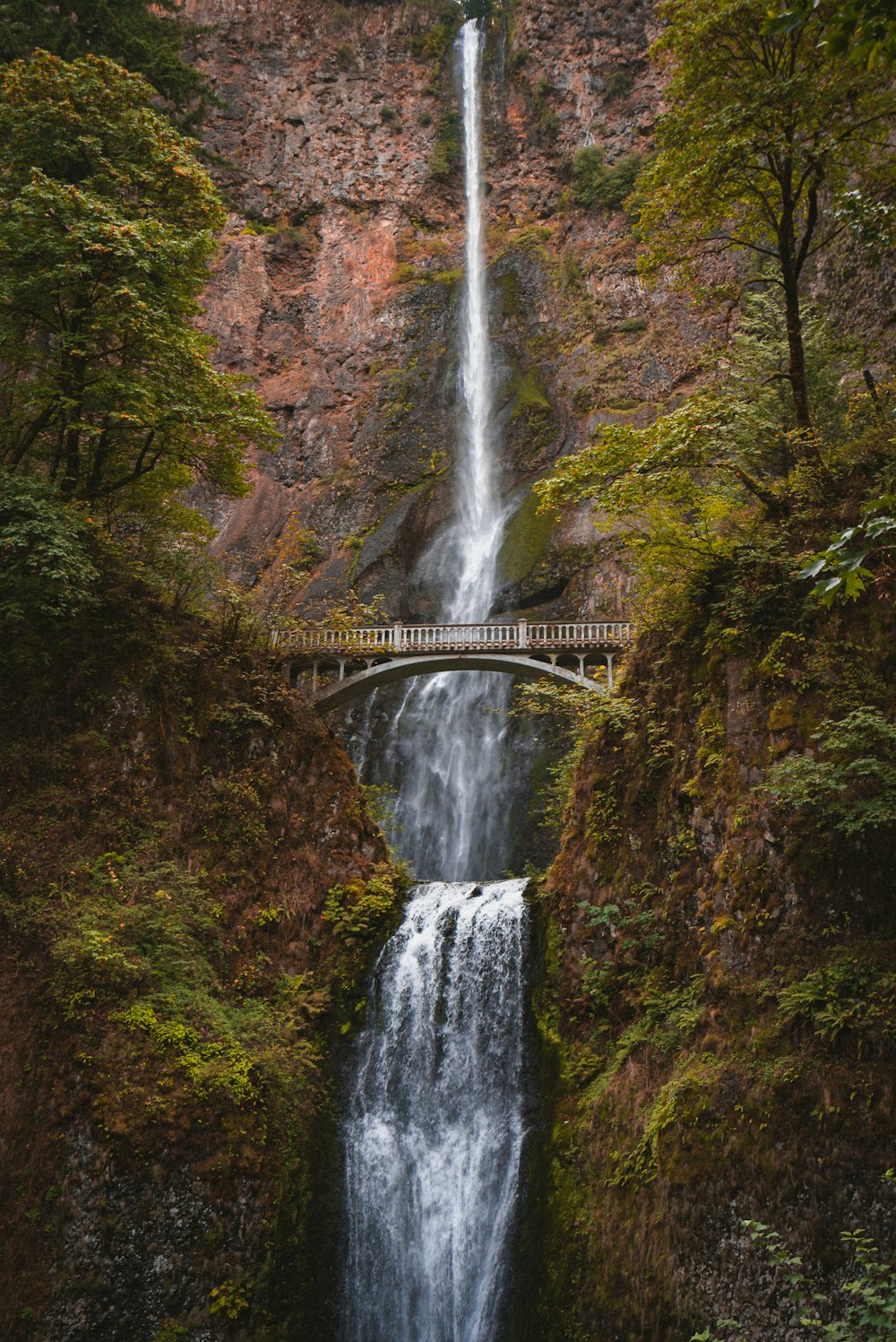 Cascadas entre árboles marrones y verdes durante el día