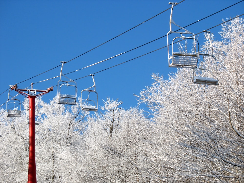 red and white metal post near bare trees under blue sky during daytime