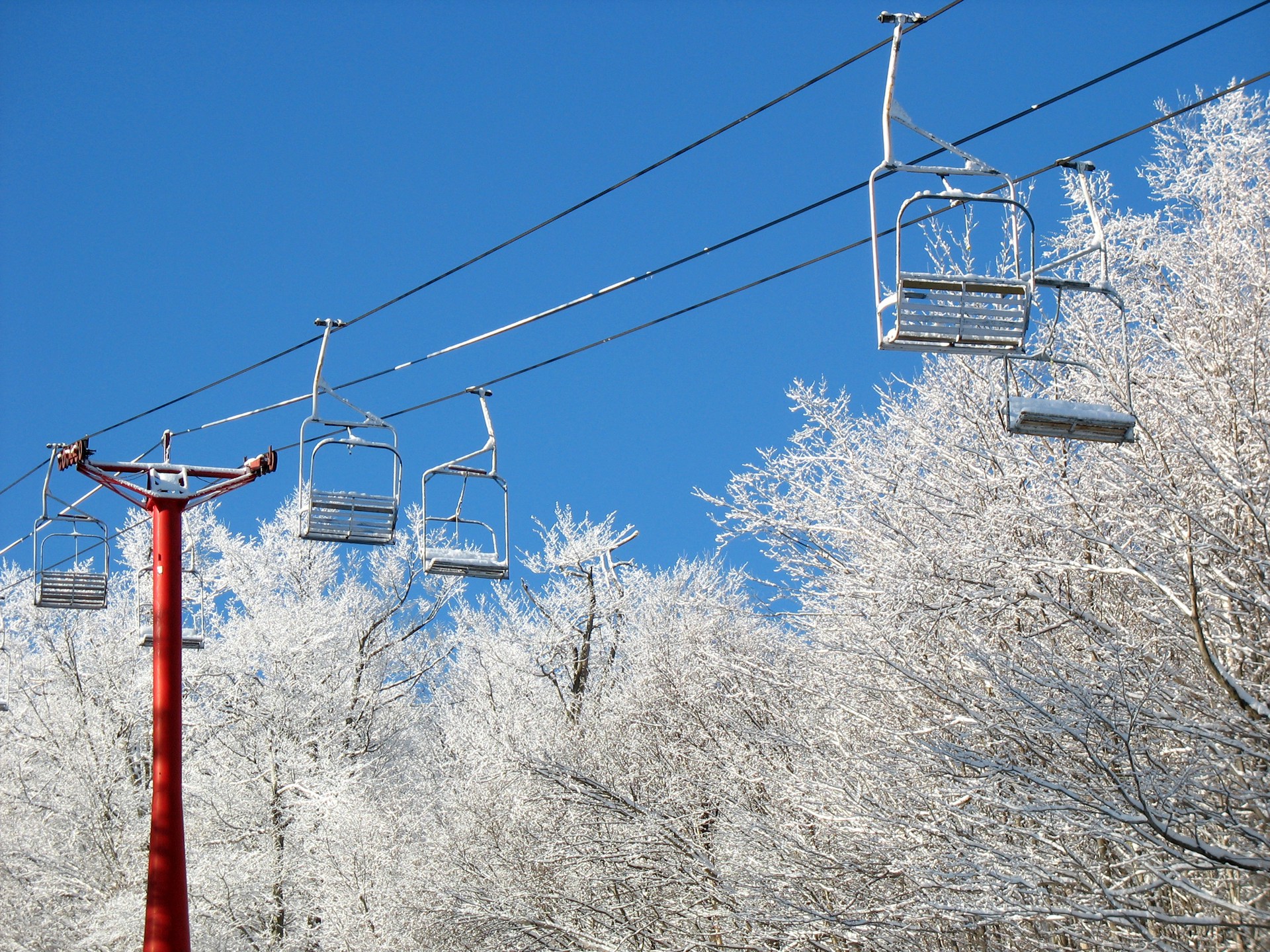red and white metal post near bare trees under blue sky during daytime