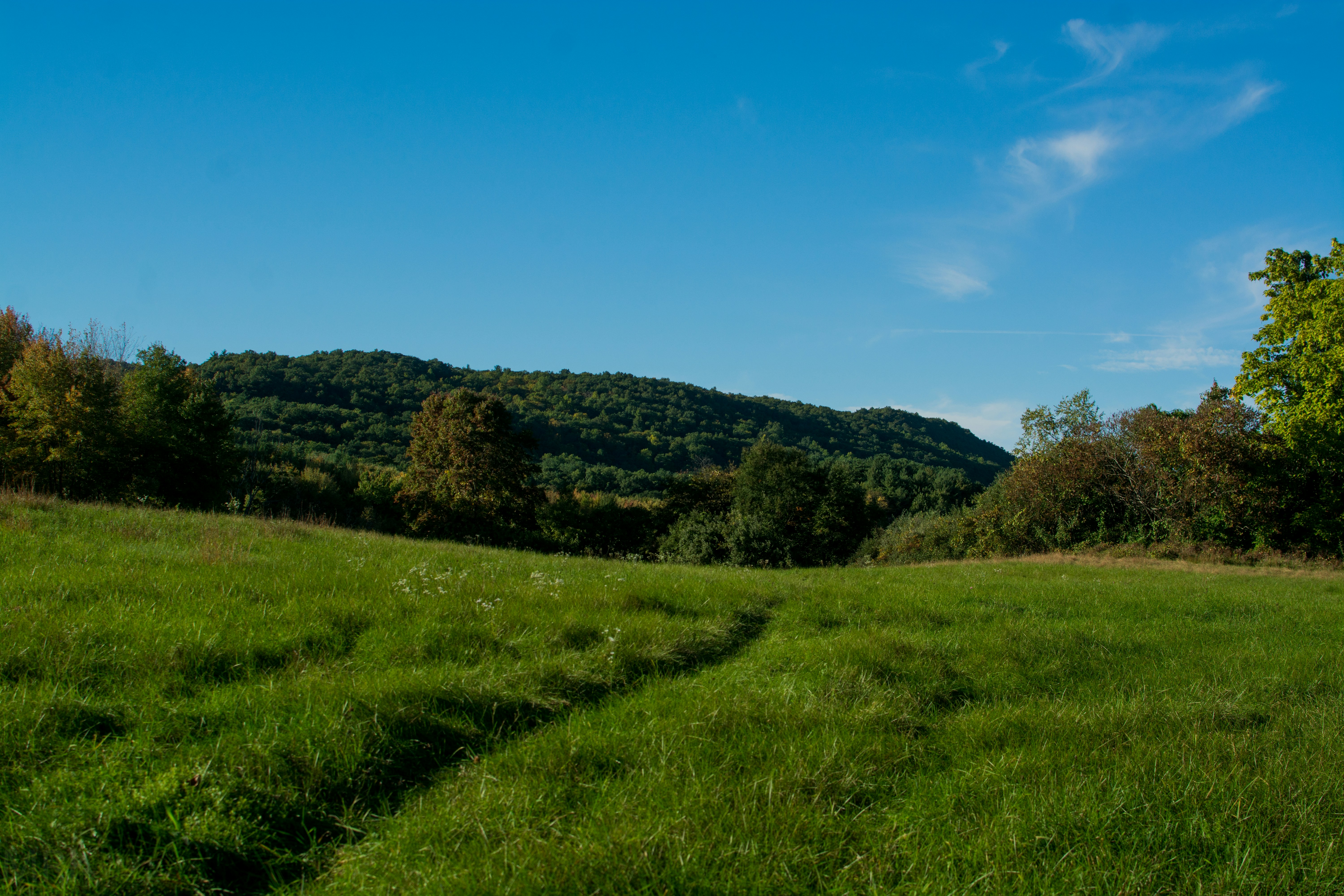 Photo by masondoesphotos