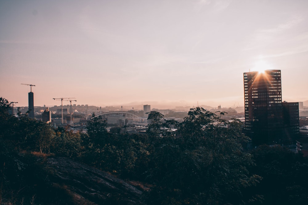 Edificios de la ciudad bajo el cielo blanco durante el día