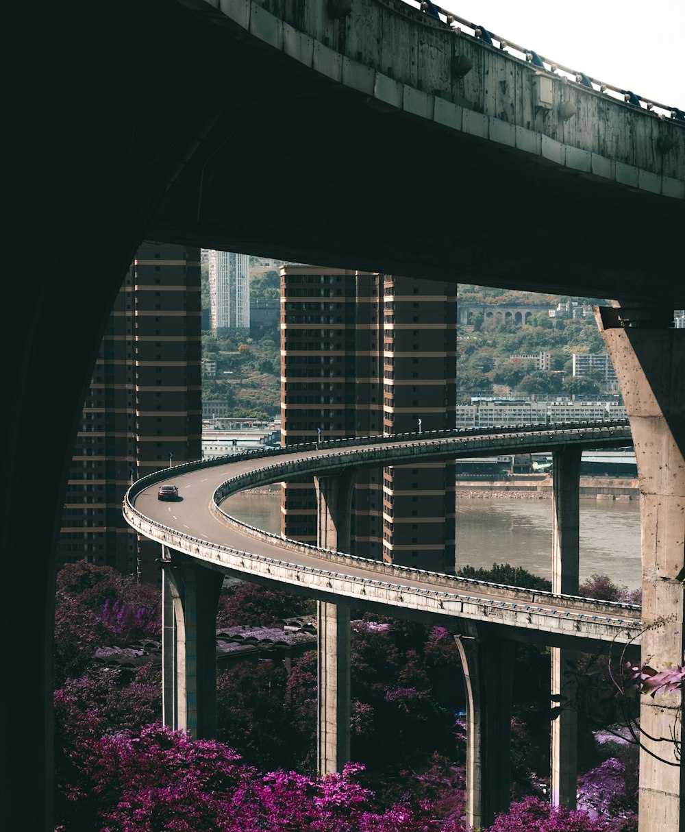 white bridge over river during daytime