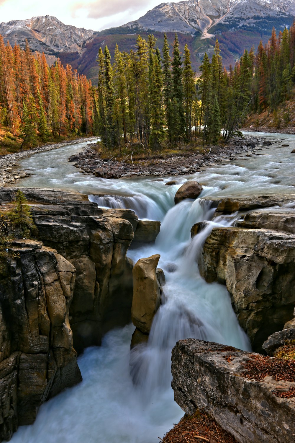 El agua cae entre rocas marrones y árboles verdes durante el día