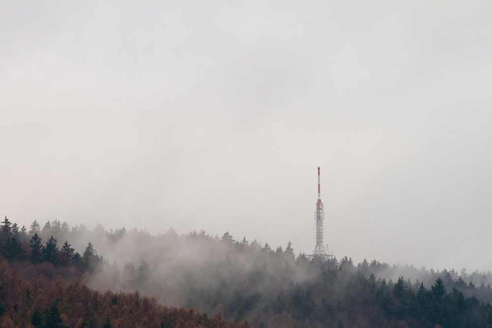 green trees under white clouds during daytime