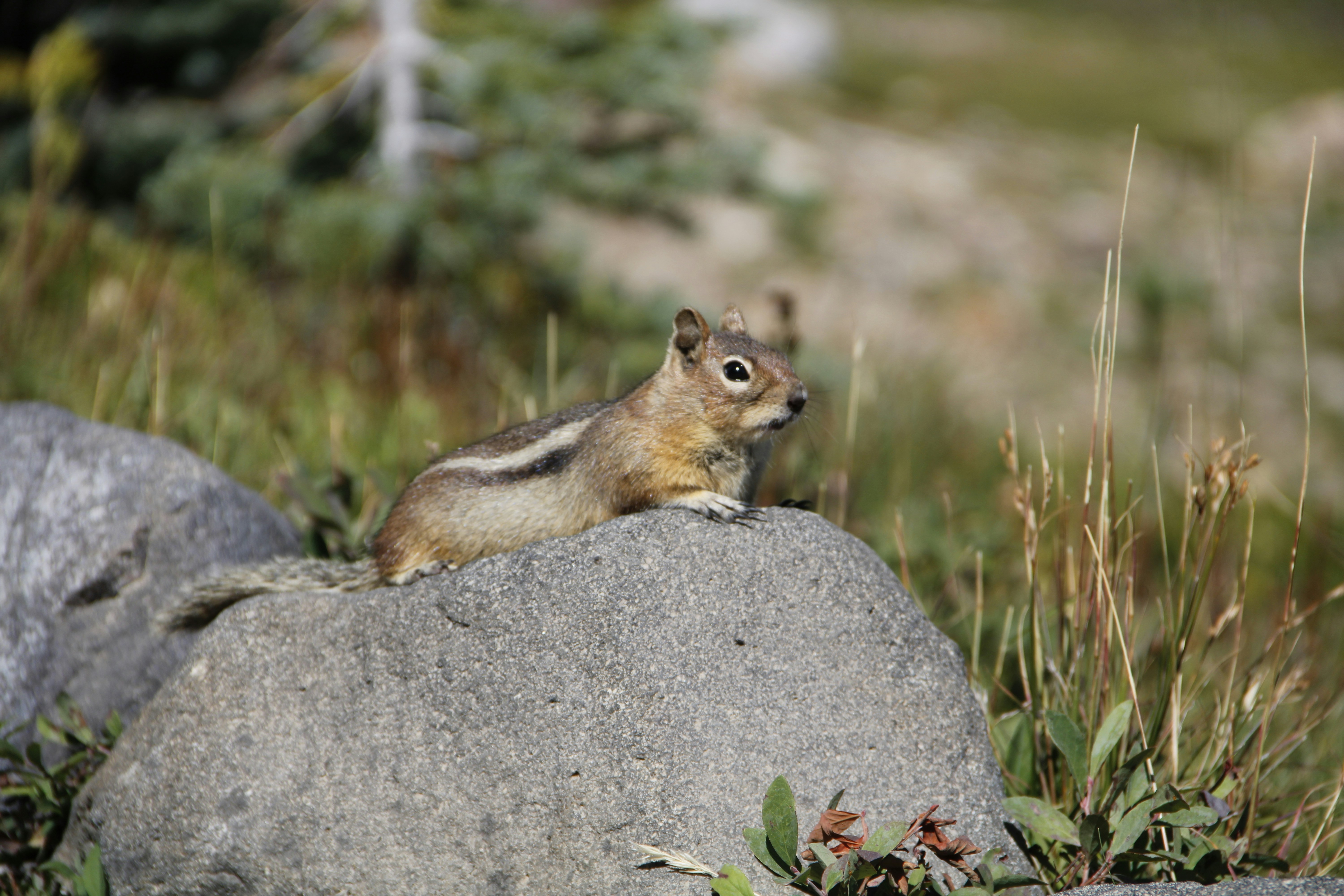 Photo by hellooodesign