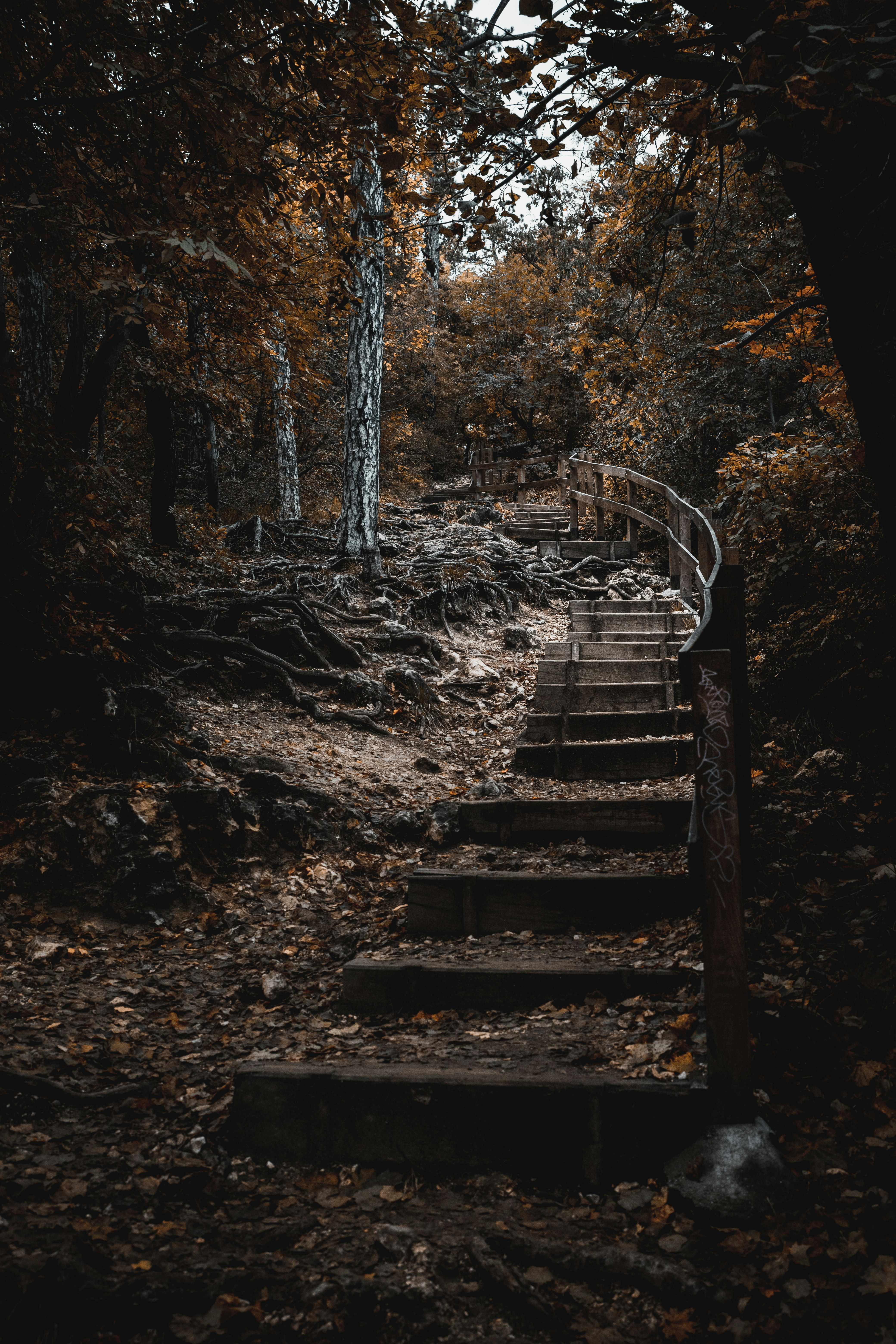 Photo by hunterrtomi