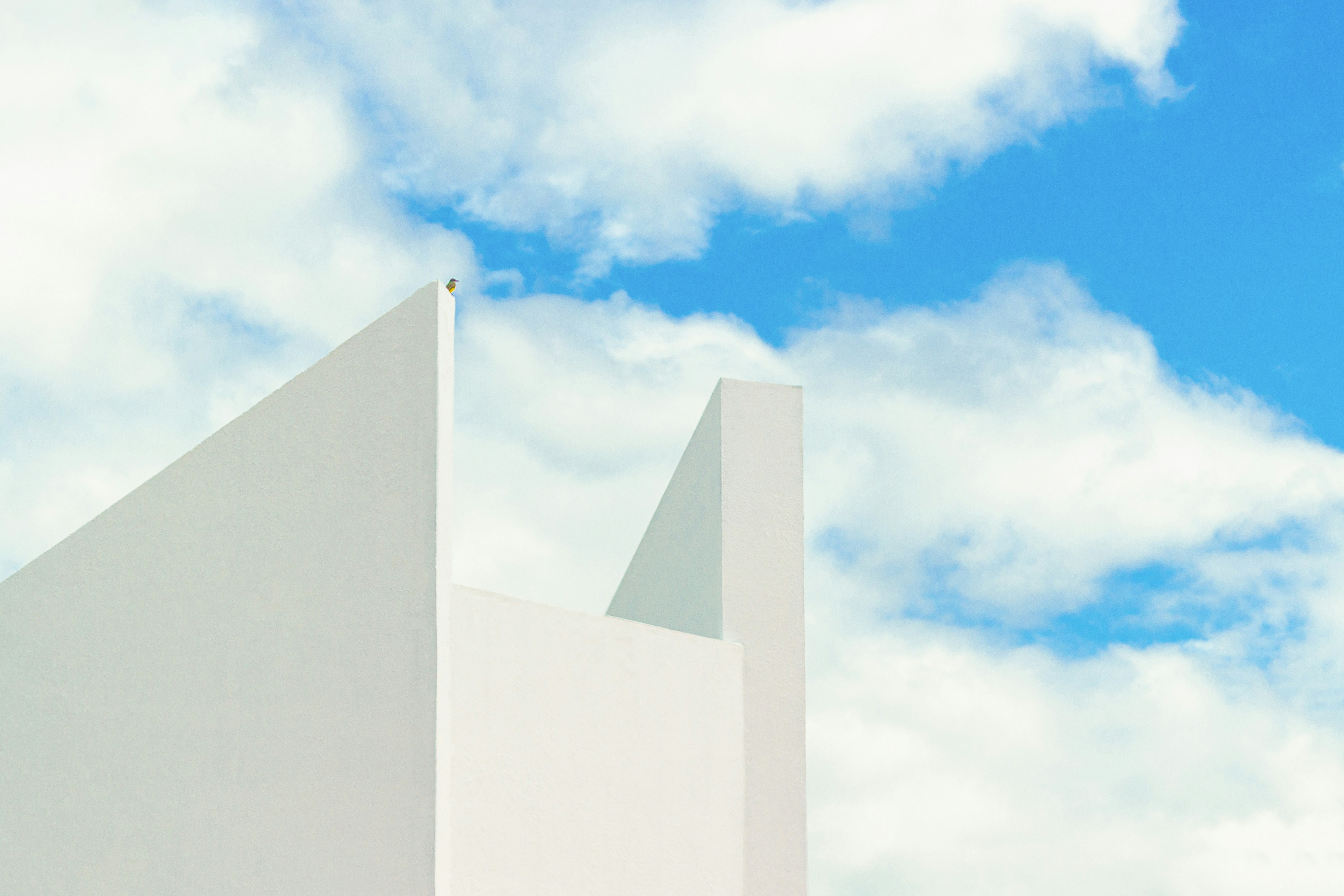 Photo by rotekirsche20