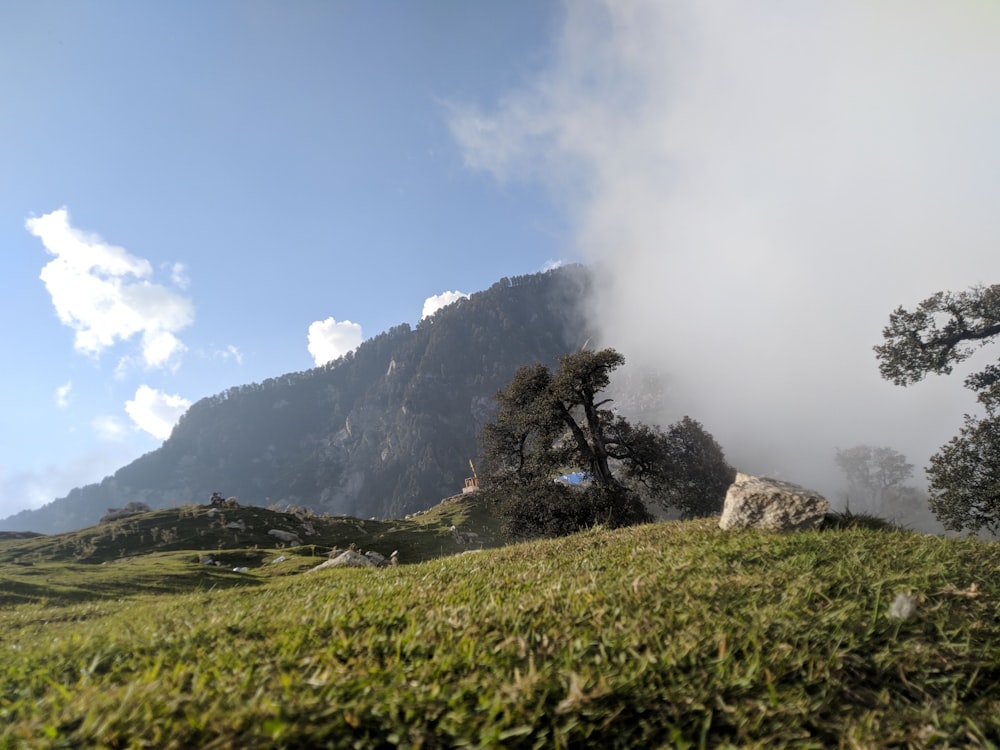 green grass field near mountain under blue sky during daytime