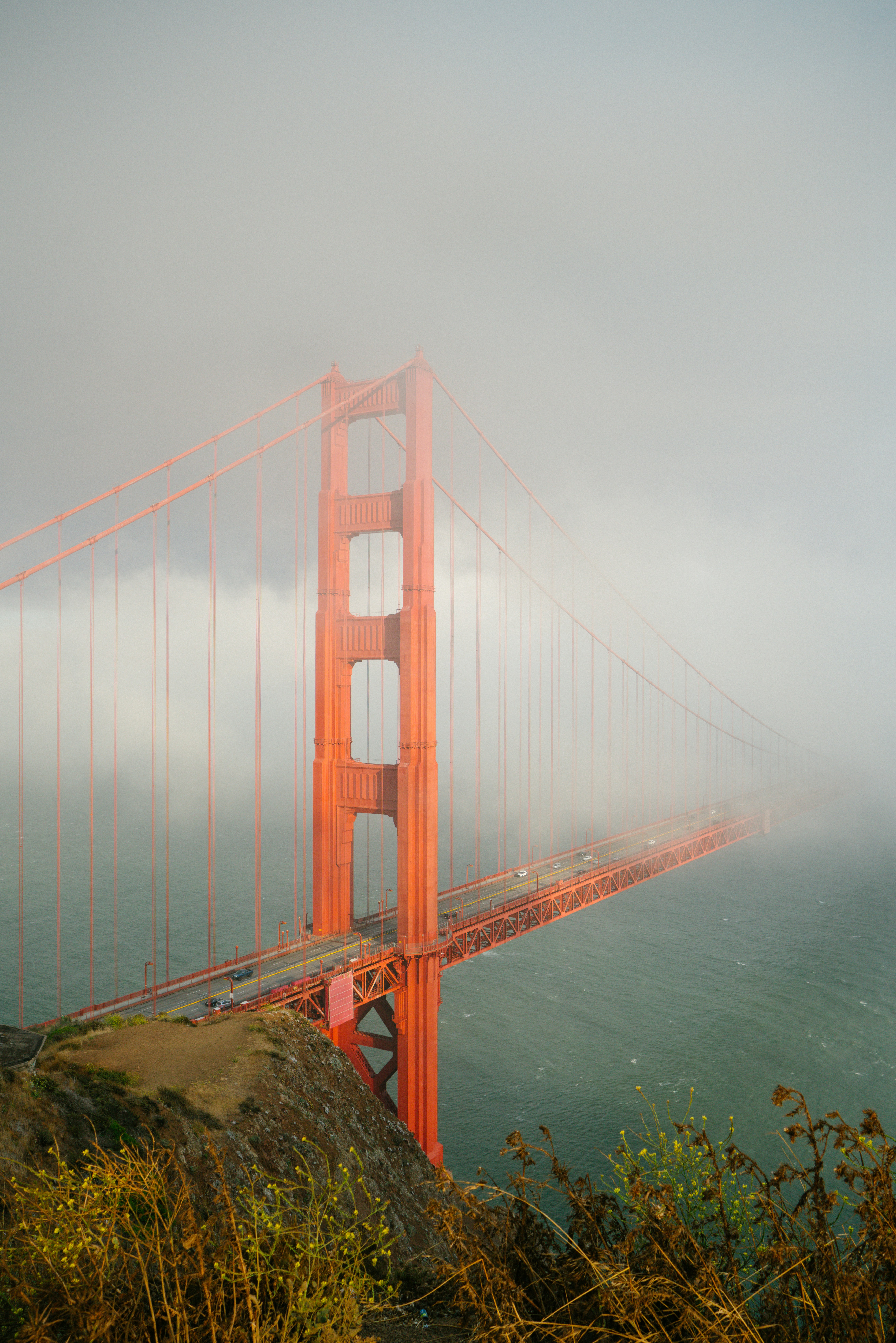 Photo by carl_newton