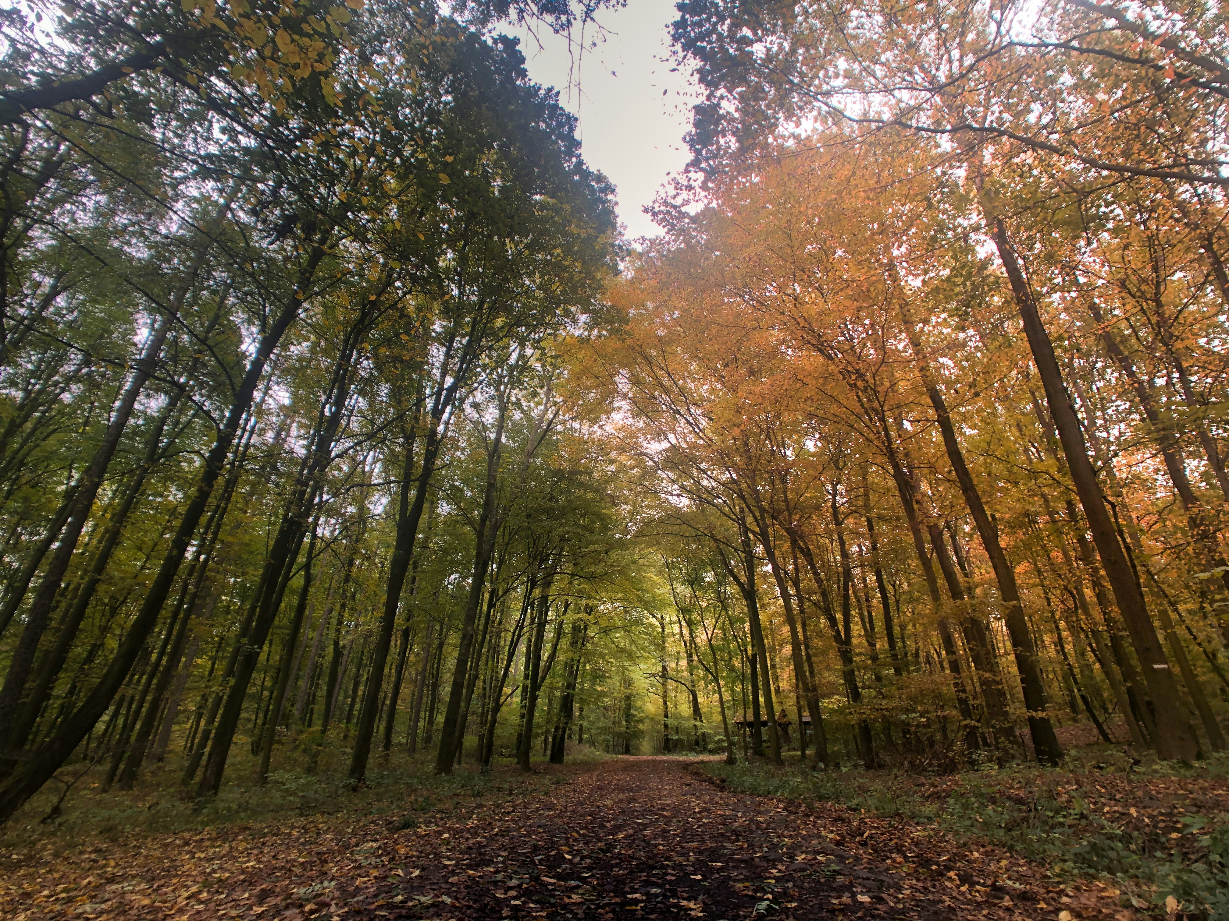 Photo by jindrichsamec