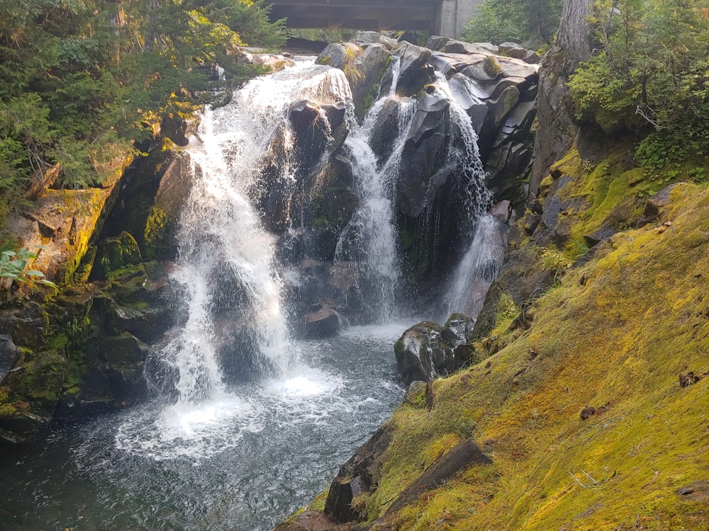 waterfalls on green grass field during daytime