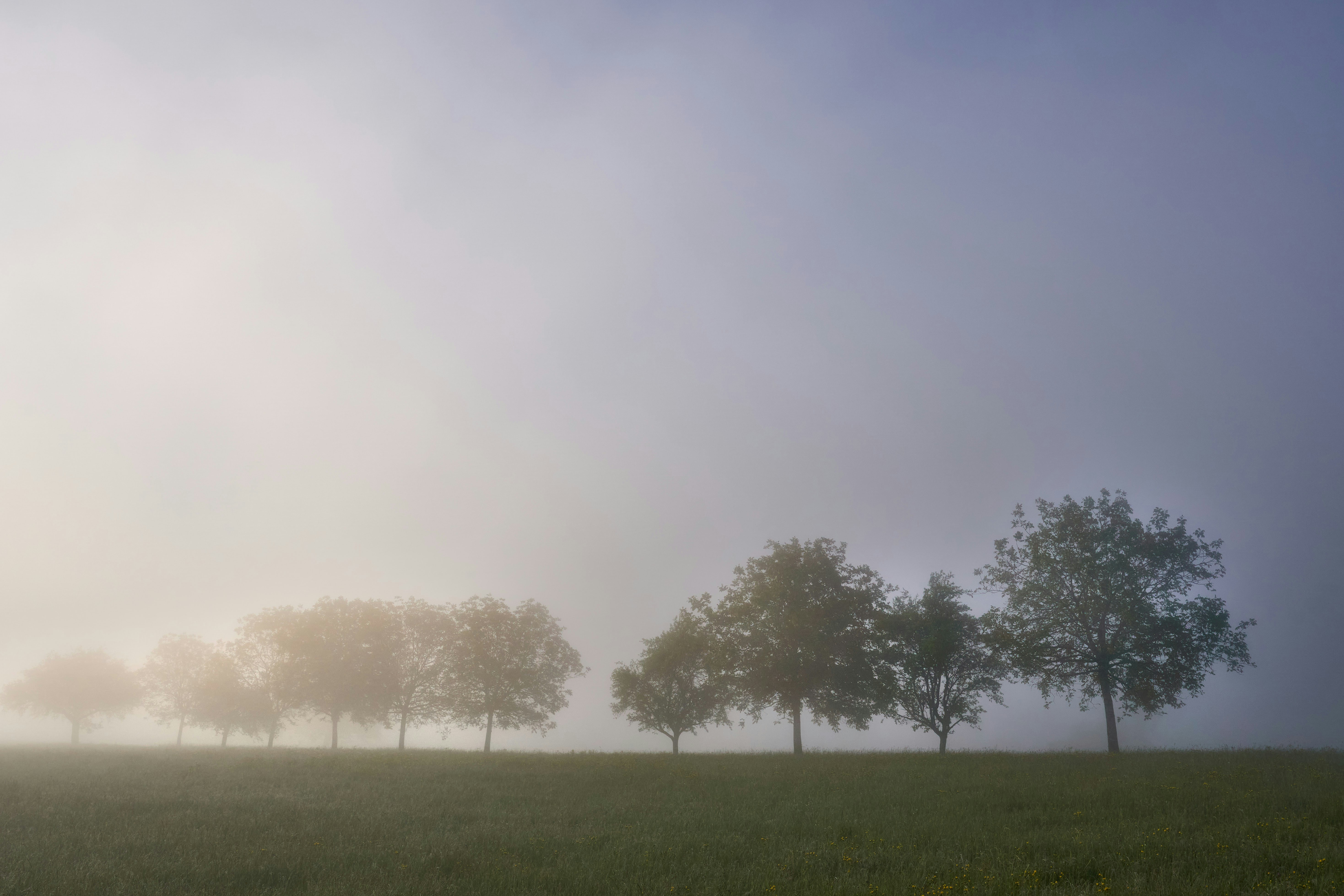 Photo by wolfgang_hasselmann