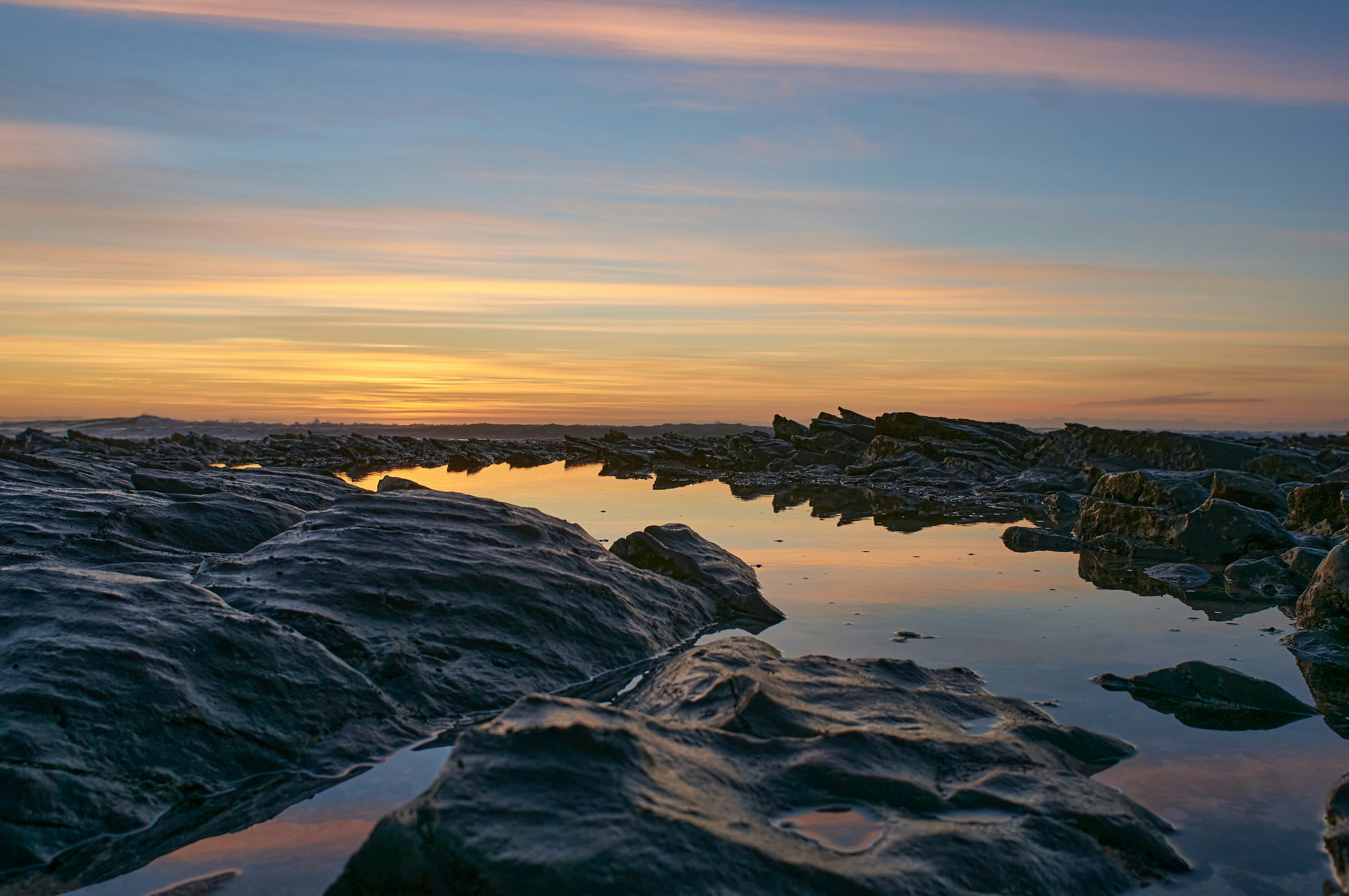 Photo by wolfgang_hasselmann