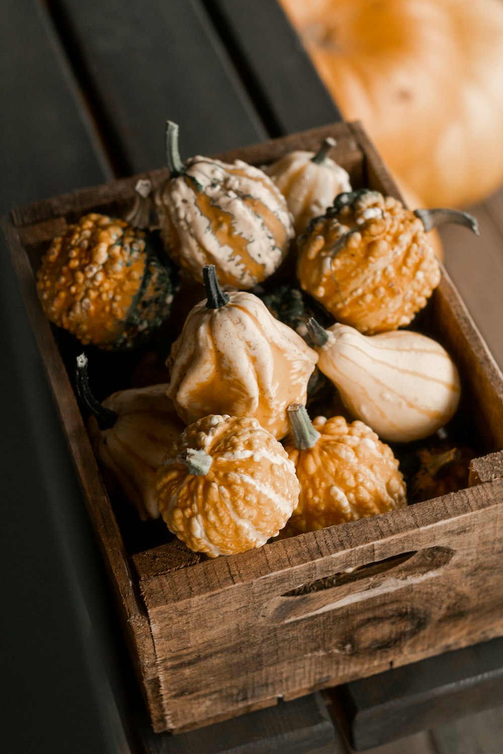 white and brown garlic on brown wooden tray