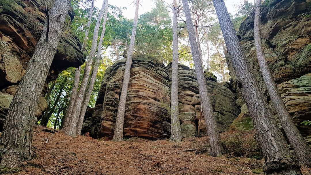 Afbeelding van Mullerthal