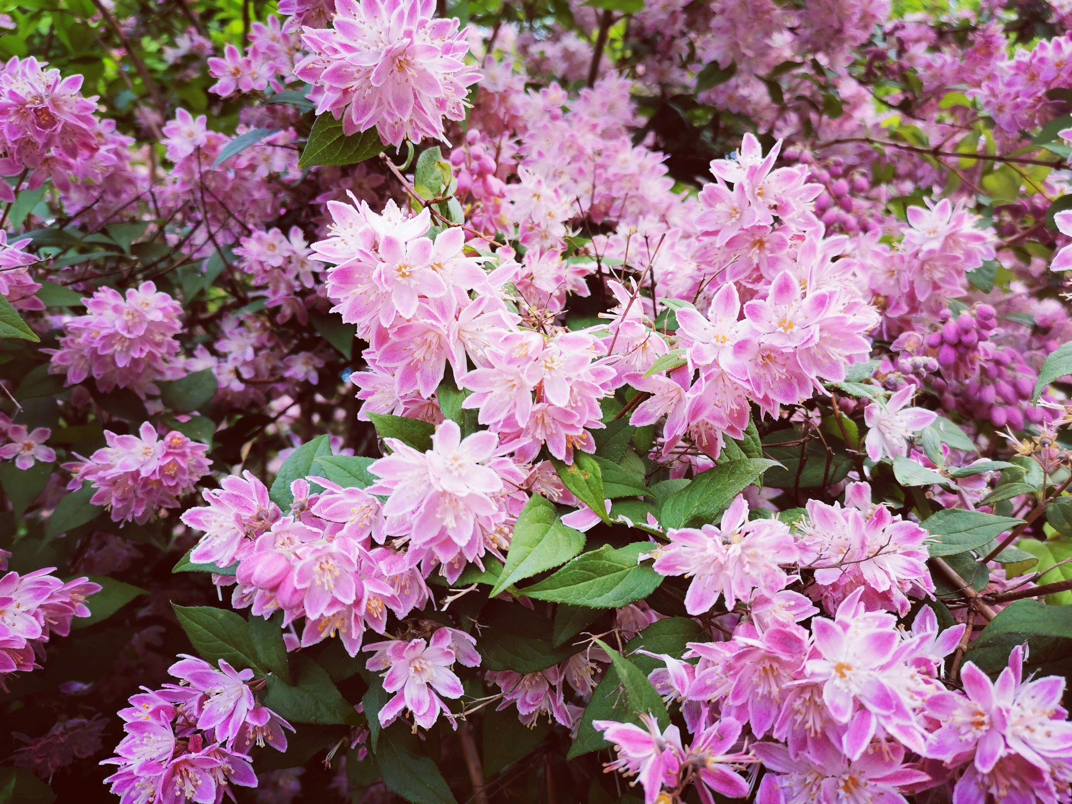 Photo by manuelaviktoria